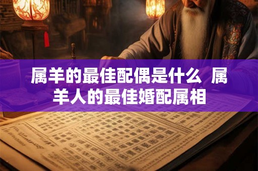 属羊的最佳配偶是什么  属羊人的最佳婚配属相