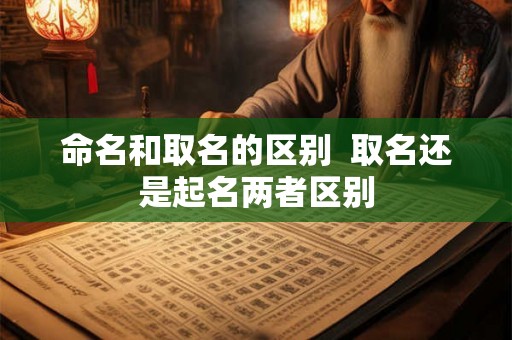 命名和取名的区别  取名还是起名两者区别