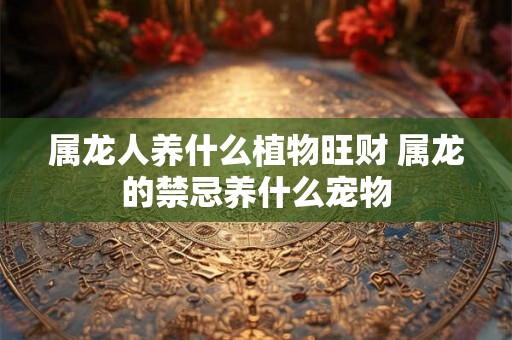 属龙人养什么植物旺财 属龙的禁忌养什么宠物