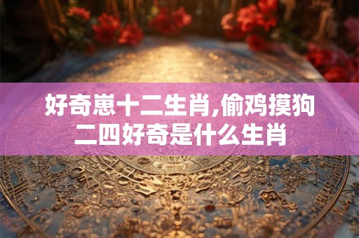 好奇崽十二生肖,偷鸡摸狗二四好奇是什么生肖