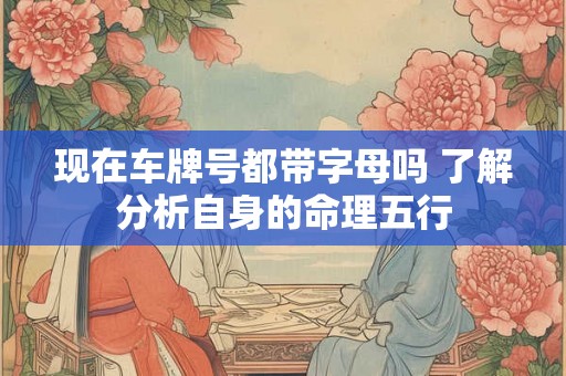 现在车牌号都带字母吗 了解分析自身的命理五行 现在车牌号都带字母吗 了解分析自身的命理五行