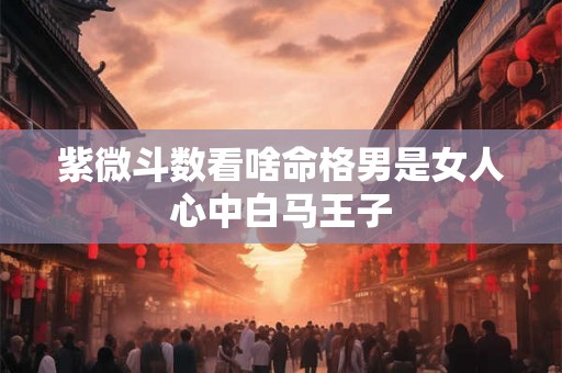 紫微斗数看啥命格男是女人心中白马王子