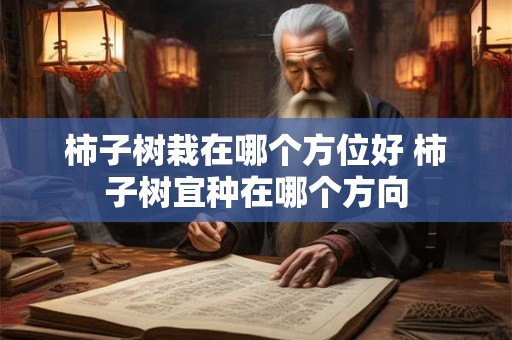 柿子树栽在哪个方位好 柿子树宜种在哪个方向 柿子树栽在哪个方位好 柿子树宜种在哪个方向