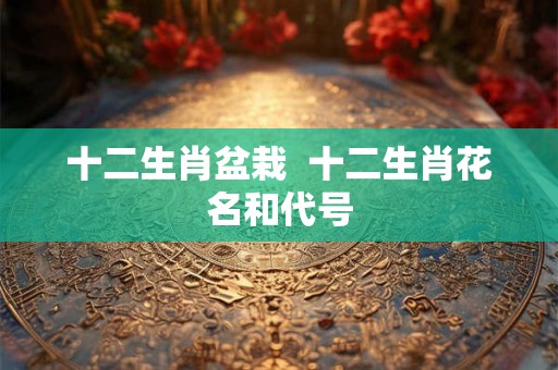 十二生肖盆栽 十二生肖花名和代号 十二生肖盆栽 十二生肖花名和代号