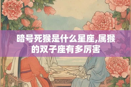 暗号死猴是什么星座,属猴的双子座有多厉害