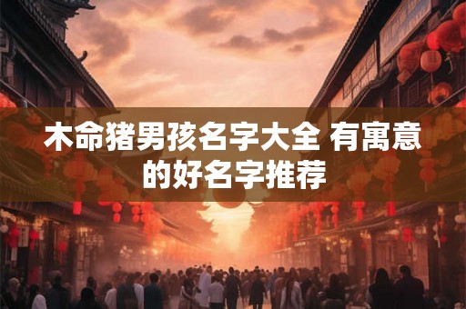 木命猪男孩名字大全 有寓意的好名字推荐