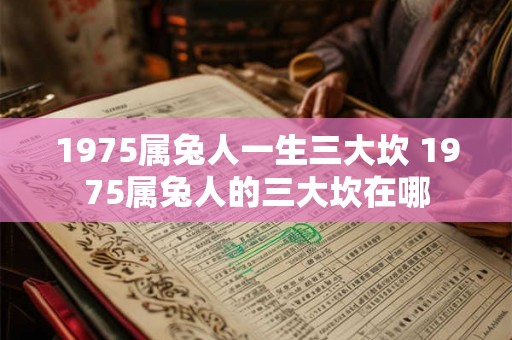 1975属兔人一生三大坎 1975属兔人的三大坎在哪