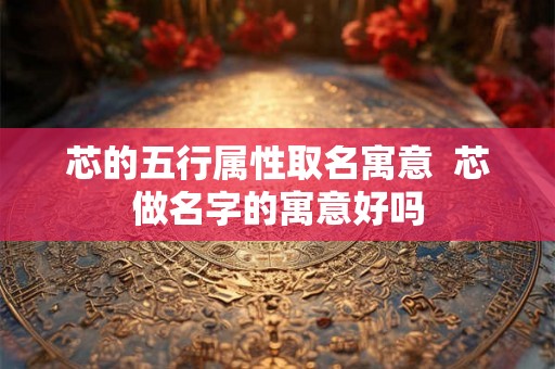 芯的五行属性取名寓意  芯做名字的寓意好吗