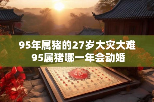 95年属猪的27岁大灾大难 95属猪哪一年会动婚