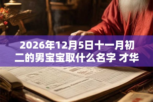 2026年12月5日十一月初二的男宝宝取什么名字 才华横溢
