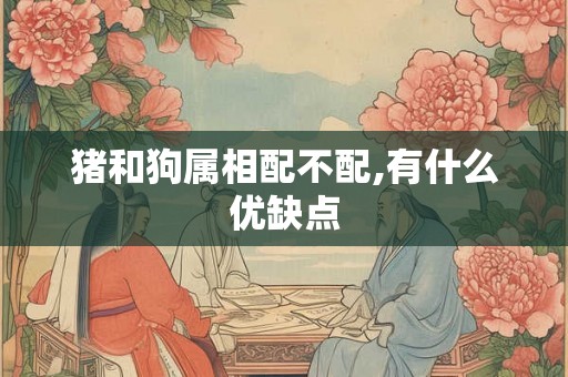 猪和狗属相配不配,有什么优缺点