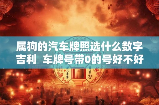 属狗的汽车牌照选什么数字吉利  车牌号带0的号好不好
