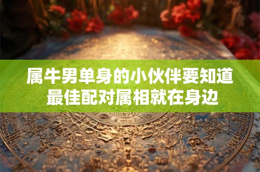 属牛男单身的小伙伴要知道 最佳配对属相就在身边 属牛男单身的小伙伴要知道 最佳配对属相就在身边