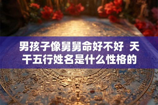 男孩子像舅舅命好不好  天干五行姓名是什么性格的
