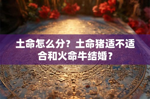 土命怎么分?土命猪适不适合和火命牛结婚? 土命怎么分?土命猪适不适合和火命牛结婚?