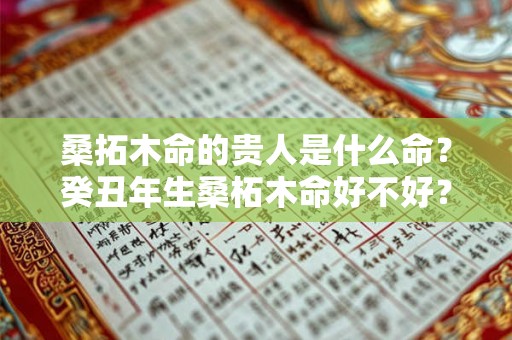 桑拓木命的贵人是什么命？癸丑年生桑柘木命好不好？