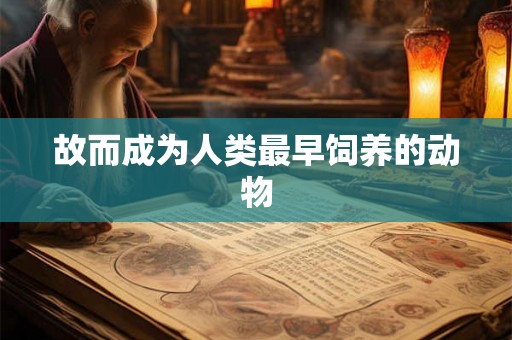 故而成为人类最早饲养的动物
