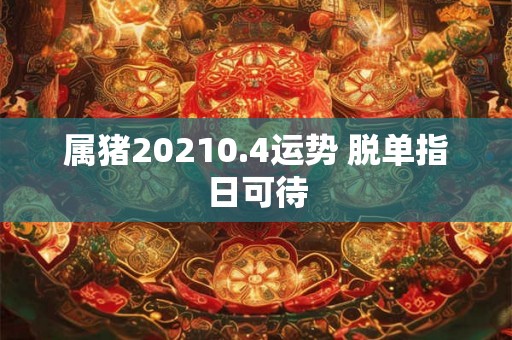 属猪20210.4运势 脱单指日可待