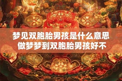 梦见双胞胎男孩是什么意思 做梦梦到双胞胎男孩好不好 梦见双胞胎男孩是什么意思 做梦梦到双胞胎男孩好不好