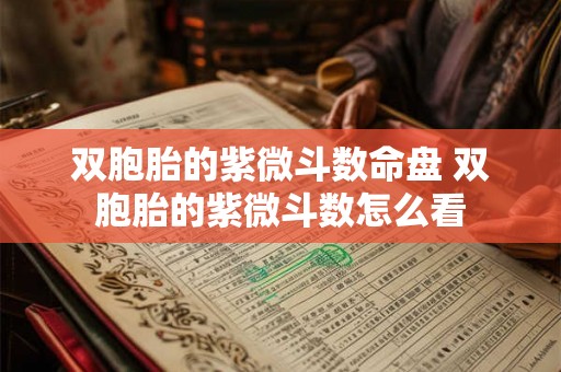 双胞胎的紫微斗数命盘 双胞胎的紫微斗数怎么看