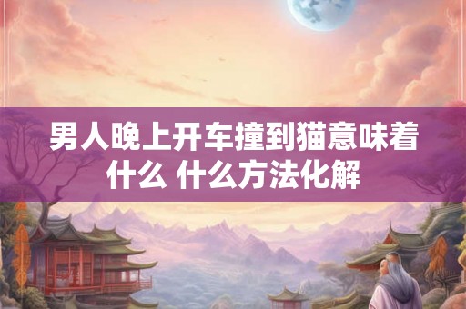 男人晚上开车撞到猫意味着什么 什么方法化解