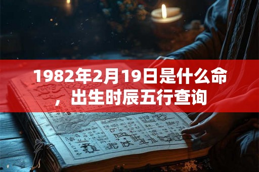 1982年2月19日是什么命,出生时辰五行查询 1982年2月19日是什么命,出生时辰五行查询