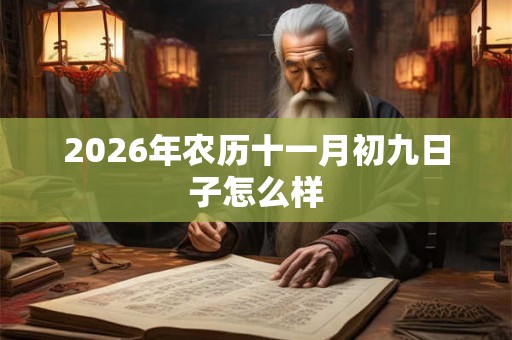 2026年农历十一月初九日子怎么样