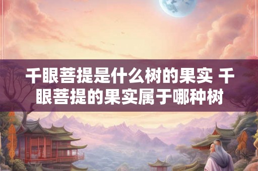 千眼菩提是什么树的果实 千眼菩提的果实属于哪种树