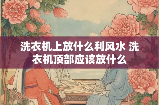 洗衣机上放什么利风水 洗衣机顶部应该放什么 洗衣机上放什么利风水 洗衣机顶部应该放什么