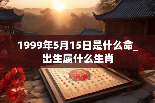 1999年5月15日是什么命_出生属什么生肖