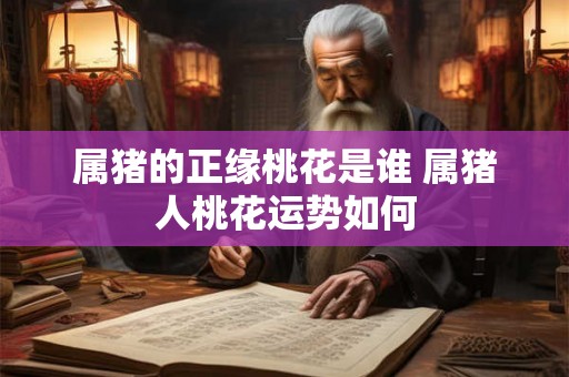 属猪的正缘桃花是谁 属猪人桃花运势如何