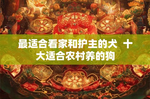 最适合看家和护主的犬  十大适合农村养的狗