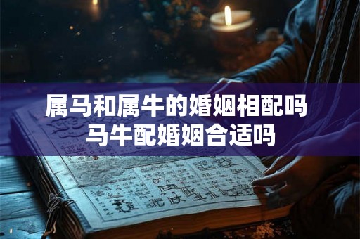 属马和属牛的婚姻相配吗 马牛配婚姻合适吗