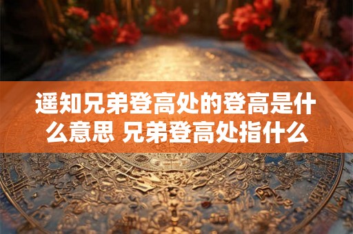 遥知兄弟登高处的登高是什么意思 兄弟登高处指什么