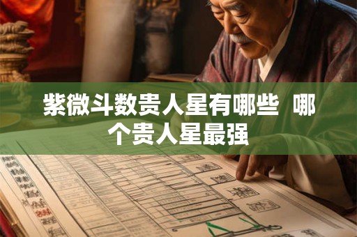 紫微斗数贵人星有哪些  哪个贵人星最强