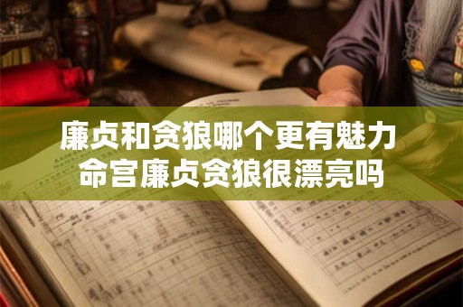 廉贞和贪狼哪个更有魅力 命宫廉贞贪狼很漂亮吗