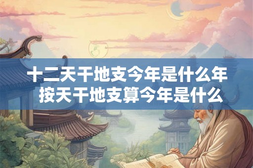 十二天干地支今年是什么年  按天干地支算今年是什么年