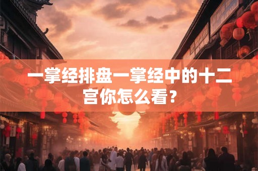一掌经排盘一掌经中的十二宫你怎么看？