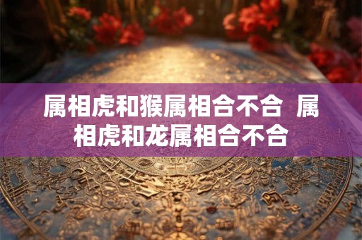 属相虎和猴属相合不合  属相虎和龙属相合不合