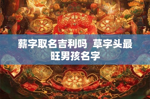 薪字取名吉利吗  草字头最旺男孩名字