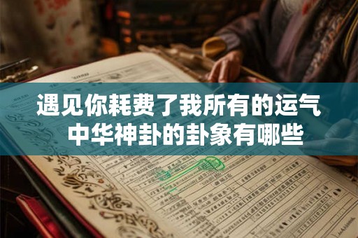 遇见你耗费了我所有的运气  中华神卦的卦象有哪些