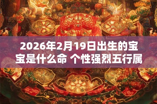 2026年2月19日出生的宝宝是什么命 个性强烈五行属金