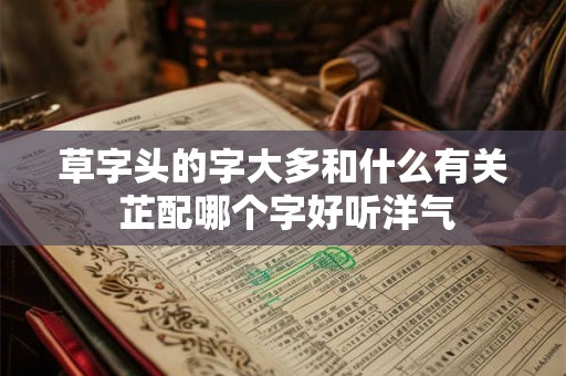 草字头的字大多和什么有关 芷配哪个字好听洋气 草字头的字大多和什么有关 芷配哪个字好听洋气