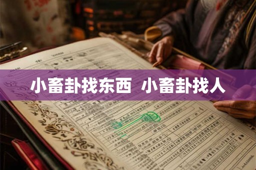 小畜卦找东西  小畜卦找人