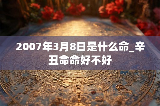 2007年3月8日是什么命_辛丑命命好不好