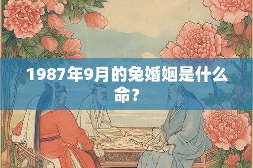 1987年9月的兔婚姻是什么命？