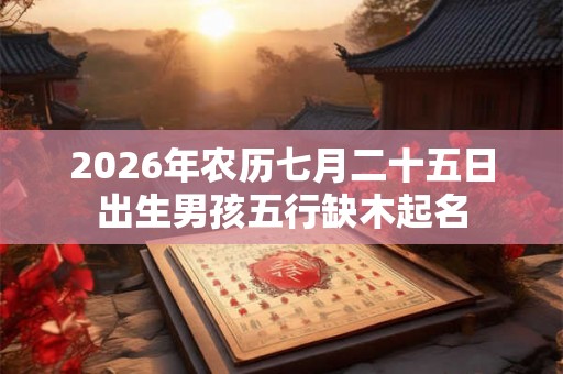 2026年农历七月二十五日出生男孩五行缺木起名