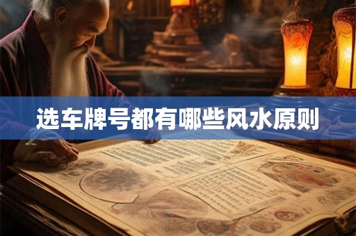 选车牌号都有哪些风水原则
