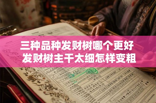 三种品种发财树哪个更好  发财树主干太细怎样变粗