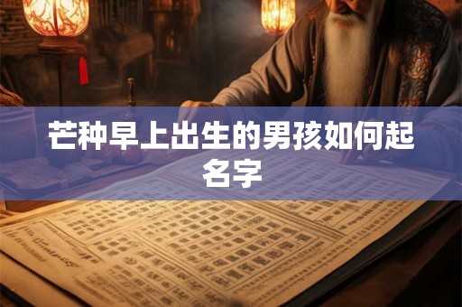 芒种早上出生的男孩如何起名字